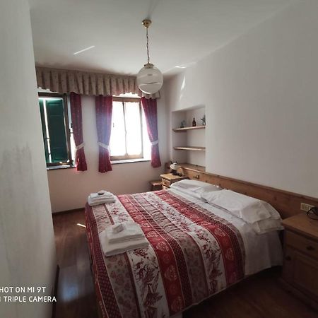 La Favorita Bed & Breakfast Lozzo Cadore Exterior photo