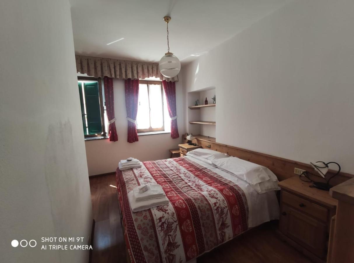 La Favorita Bed & Breakfast Lozzo Cadore Exterior photo